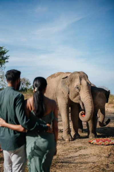Pareja observando elefantes de cerca en el Wild Cottages Elephant Sanctuary Resort en Tailandia