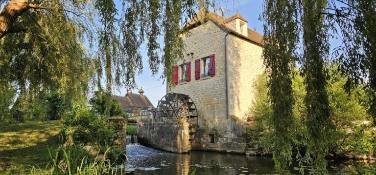 Molino de agua histórico del Moulin de Petoulle con rueda hidráulica y fachada de piedra entre sauces