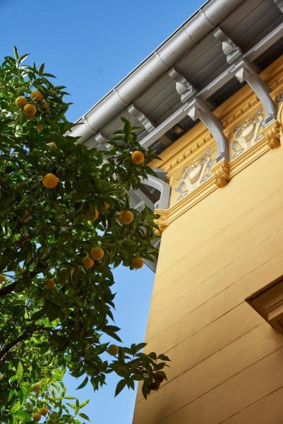 Fachada exterior con decoración clásica y naranjos en flor del hotel Maison des Barons