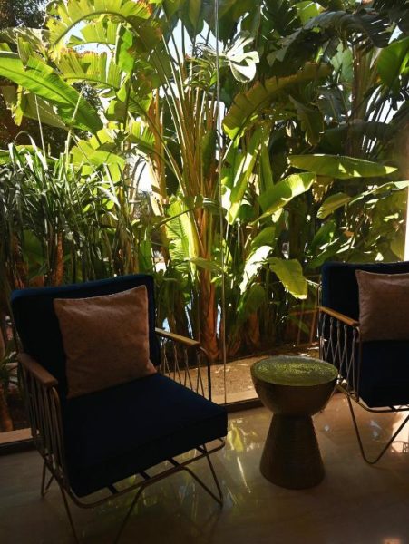 Terraza con sillones azules y jardín tropical exuberante en Maison Kenoosha Boutique Hotel & Spa