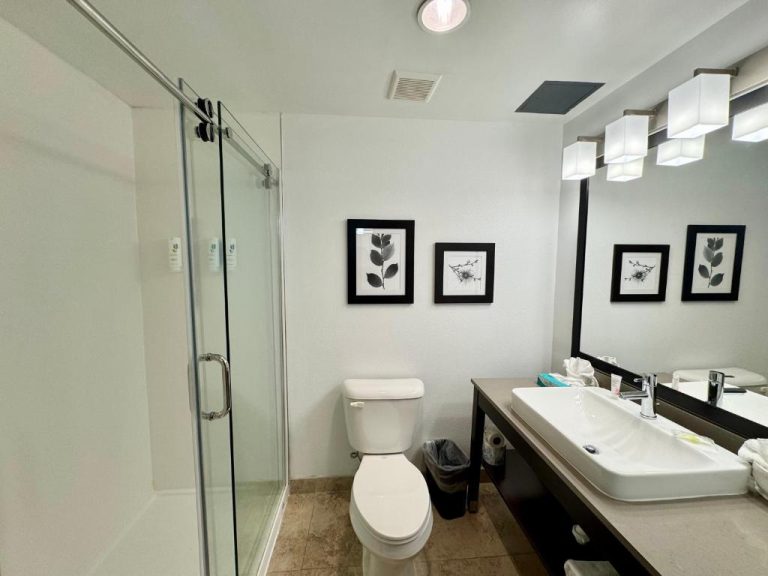 Baño moderno con ducha de vidrio, lavabo amplio y decoración en blanco del Country Inn & Suites Port Charlotte