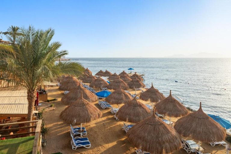 Playa privada con sombrillas de paja y tumbonas del Pickalbatros Golf Luxury Suites All Inclusive