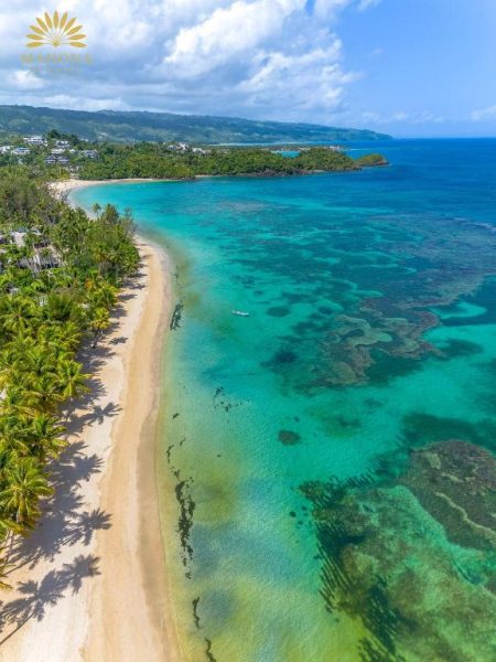 Vista aérea de la playa y arrecife de coral turquesa del Mahona Boutique Hotel rodeado de palmeras