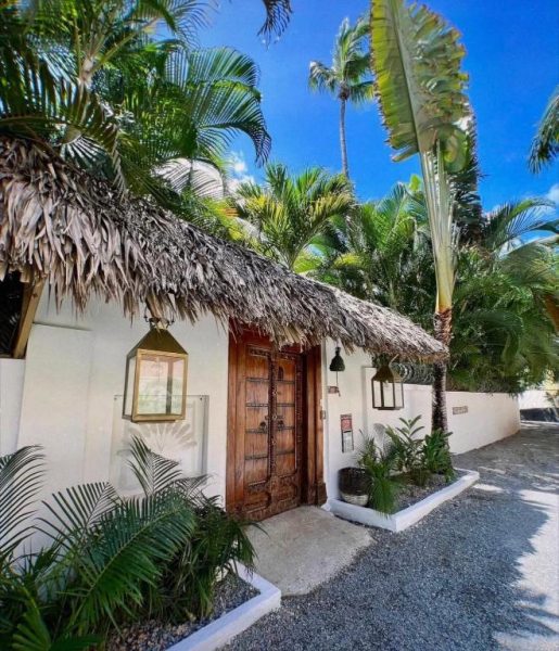 Entrada principal con puerta de madera y techo de palapa del Mahona Boutique Hotel rodeada de palmeras tropicales
