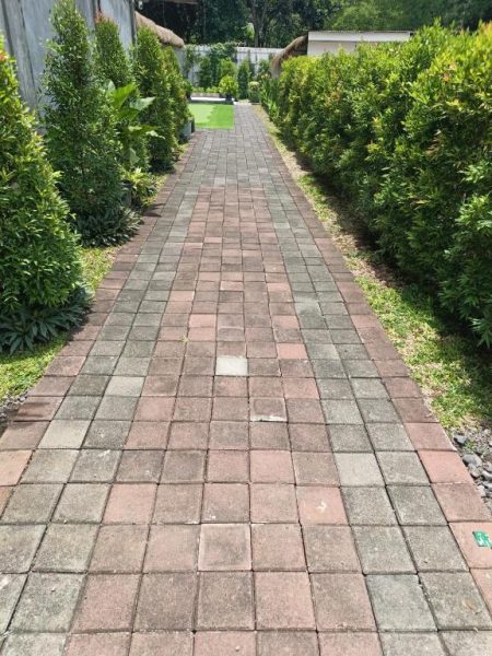 Camino de adoquines rodeado de jardines tropicales en Casa Siligita Nusa Dua, Bali