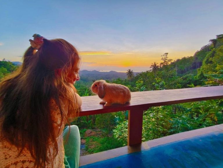 Terraza con vista a la jungla al atardecer en SZ Samui Glamping con adorable conejo lop