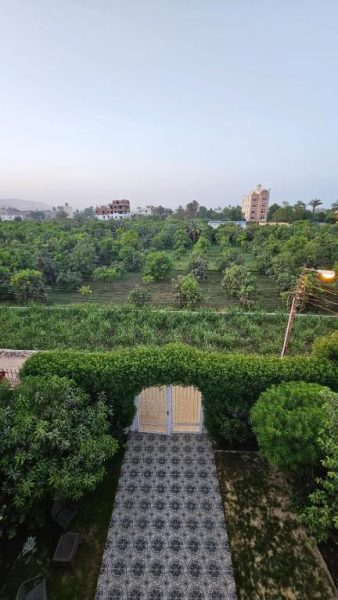 Vista aérea del jardín exterior con entrada principal y vegetación tropical del Panorama Hotel