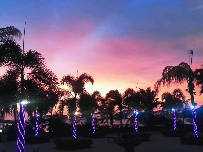 Atardecer con cielo rosa y azul sobre las palmeras iluminadas del Aruba Surfside Marina