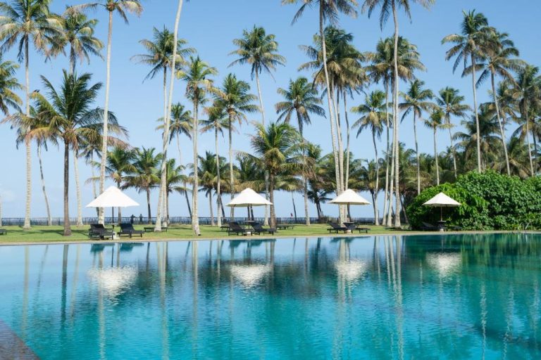 Piscina infinita con tumbonas y sombrillas rodeada de palmeras en The Blue Water Bawa Heritage Resort