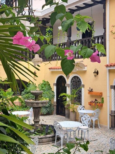 Patio colonial con fuente ornamental y jardín tropical del Casa Sileo Boutique Hotel