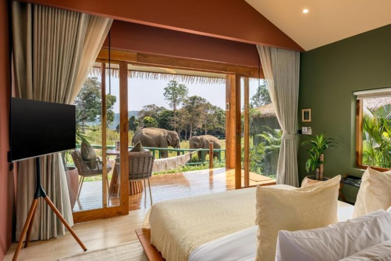 Habitación de lujo con vistas a elefantes en libertad desde la terraza del Wild Cottages Elephant Sanctuary Resort