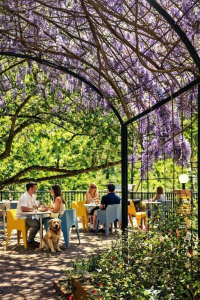 Terraza exterior con pérgola de glicinaas en flor del Appart'Hotel Castel Emeraude, ideal para comer al aire libre