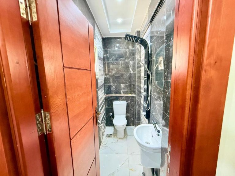 Baño completo con ducha, inodoro y lavabo en Hotel Winter House con revestimiento de mármol oscuro