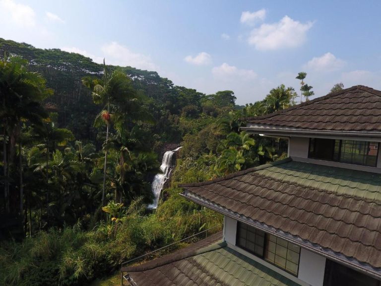Vista de la cascada tropical desde las cabañas del The Inn at Kulaniapia Falls rodeada de palmeras