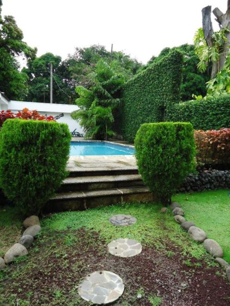 Piscina exterior rodeada de jardín tropical con setos y escalones en Hotel Casa del Sol