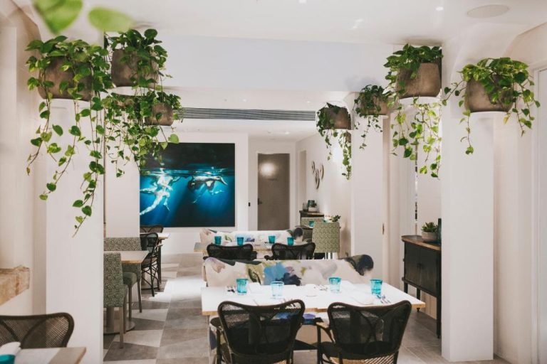 Restaurante del Spicers Potts Point con plantas colgantes, mesas y decoración marina en Sidney