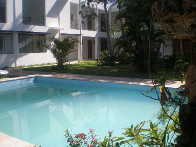 Piscina exterior rodeada de jardín tropical en el Hotel Ruta del Sol con edificio blanco al fondo