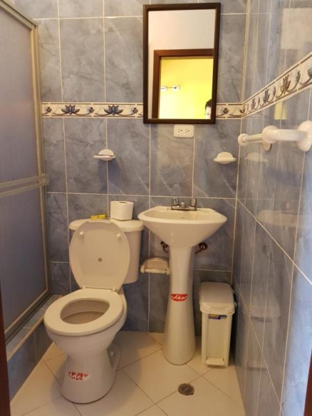 Baño completo con inodoro, lavabo y ducha con azulejos grises en Hotel Fuentes del Volcán