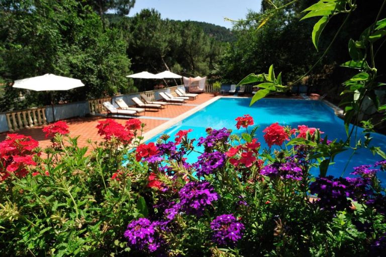Piscina exterior rodeada de flores y vegetación del Hotel Su Lithu con tumbonas y sombrillas