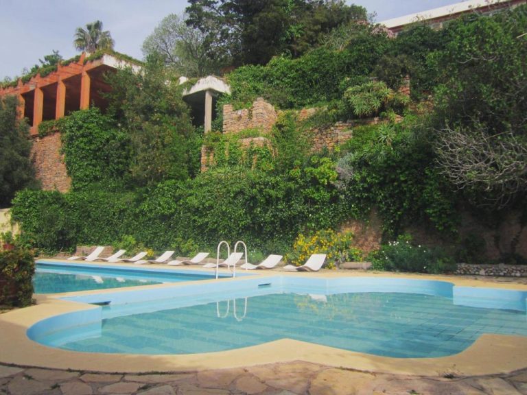 Piscina exterior con tumbonas y jardín tropical en Auberge des Cascades Imouzzer Paradise Valley