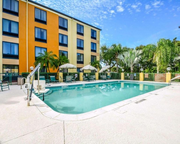 Piscina exterior con tumbonas y sombrillas del Comfort Suites Tampa Brandon rodeada de palmeras