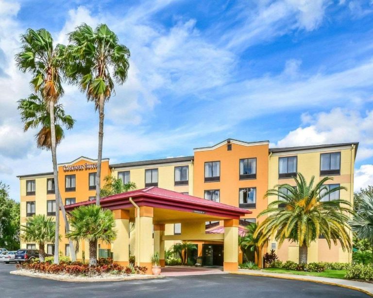 Fachada exterior del Comfort Suites Tampa Brandon con palmeras tropicales y entrada principal con marquesina roja