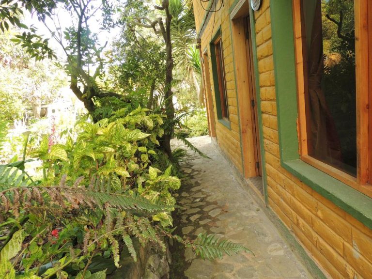 Sendero de piedra rodeado de vegetación tropical junto a la fachada exterior del Hotel La Casta