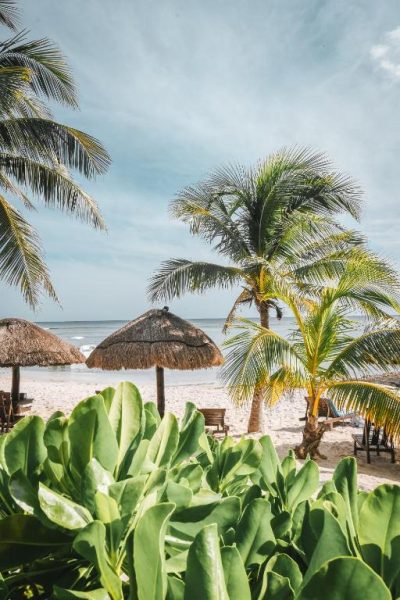 Playa paradisíaca con palmeras y palapas de palma en el Paamul Hotel, México