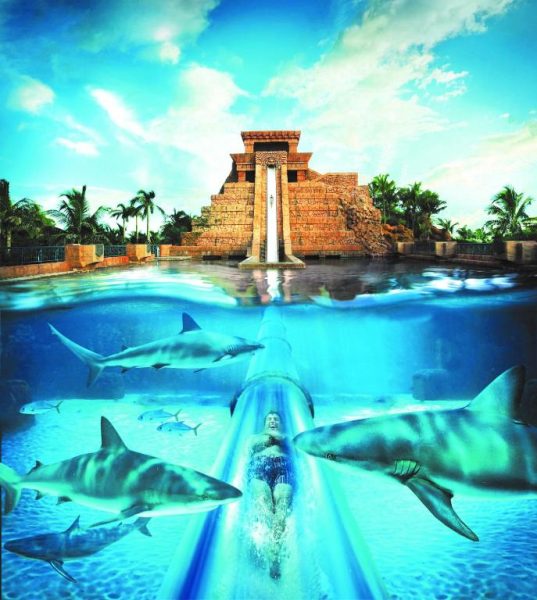 Tobogán acuático del Comfort Suites Paradise Island que atraviesa un acuario con tiburones en Bahamas