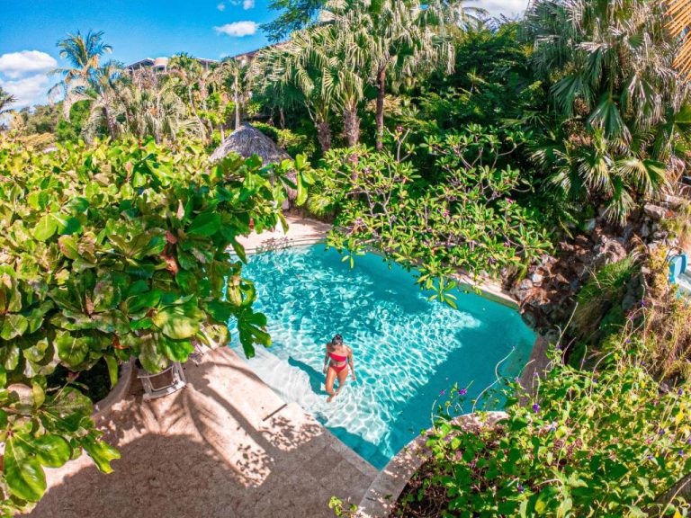 Piscina exterior rodeada de vegetación tropical en el Jardin del Eden Boutique Hotel