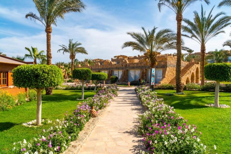 Jardín tropical con palmeras y camino de flores del Utopia Beach Club en Egipto