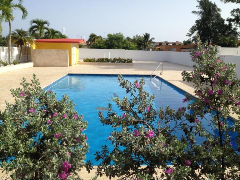 Piscina exterior rodeada de flores rosas y palmeras en el Arecibo Inn, Puerto Rico