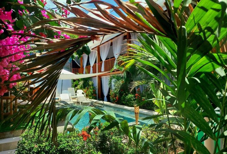 Piscina exterior rodeada de jardín tropical con bungalows y bougainvillea en BellaVista Suites Samara Beach