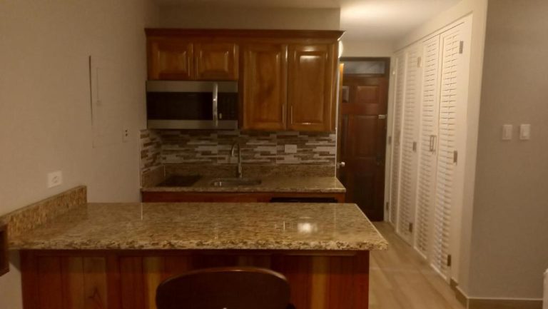 Cocina equipada con encimera de granito, microondas y armarios de madera en Beach Studio 20