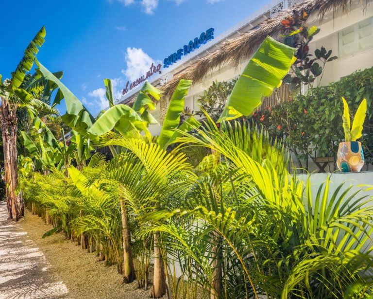 Entrada con jardín tropical de palmeras y plantas exuberantes en El Encuentro Surf Lodge