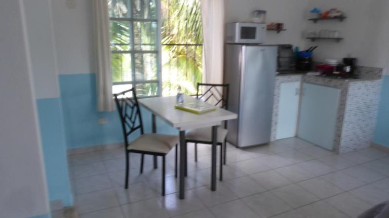 Cocina y comedor equipado con nevera, microondas y mesa para 4 personas en Claro de Luna