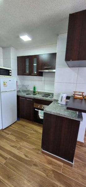 Cocina equipada con nevera, microondas y encimera de granito en Personal Aparts Bellas Artes