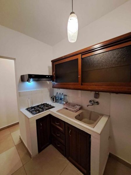 Cocina equipada con vitrocerámica y fregadero del Grand Baie Holiday Apartment en Mauricio