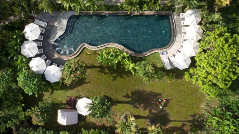 Vista aérea de la piscina exterior con jardín tropical y tumbonas del hotel The Jungle