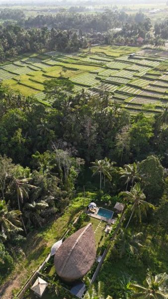 Vista aérea de Pitu Punggul Village Escape con piscina privada rodeada de selva y arrozales en Bali