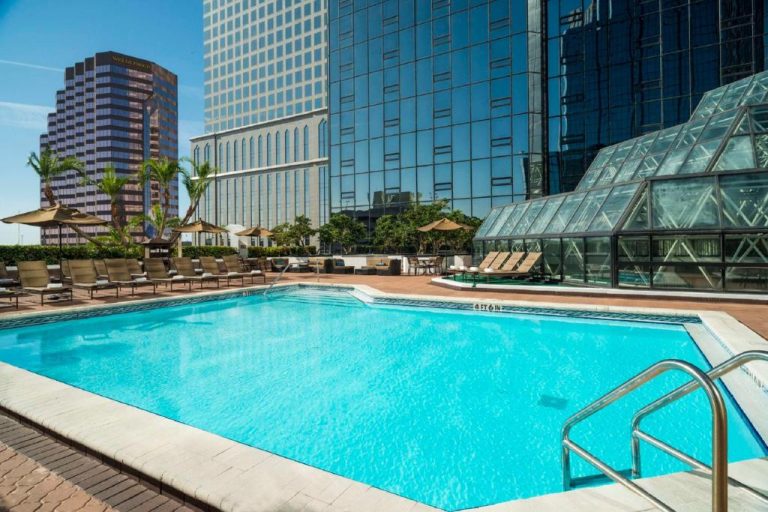 Piscina exterior del Hilton Tampa Downtown rodeada de tumbonas y rascacielos en el centro de Tampa