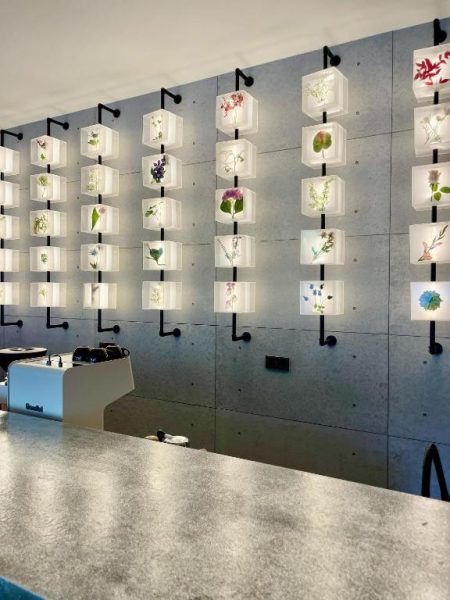 Pared decorativa con cajas iluminadas y flores prensadas en BaBa Boutique House Langkawi