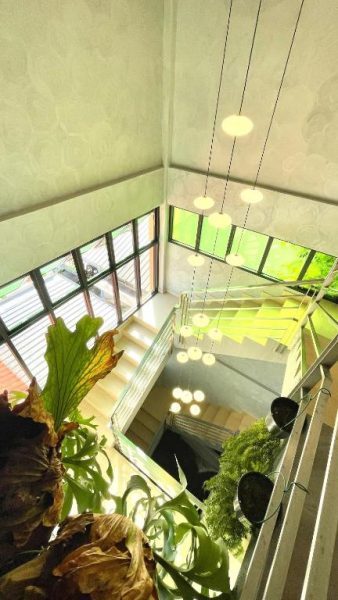 Escalera interior con plantas tropicales y lámparas colgantes en BaBa Boutique House Langkawi