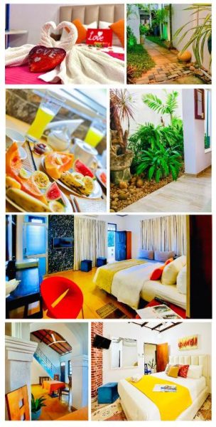 Collage de habitaciones decoradas, desayuno buffet y jardines tropicales del Hotel Dorset