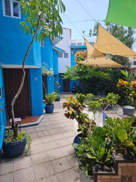 Patio exterior con jardín tropical y sombrillas del Hotel Villas Las Anclas con fachada azul