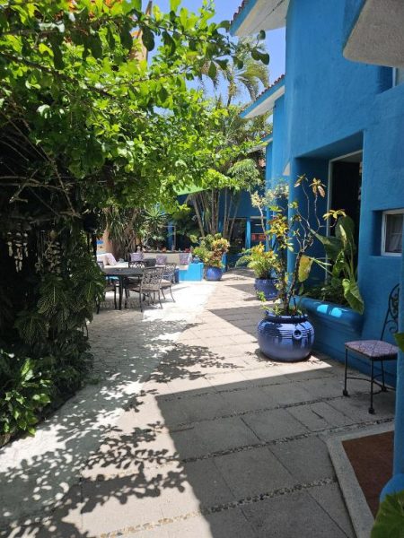 Patio exterior con jardín tropical y macetones azules decorativos en Hotel Villas Las Anclas