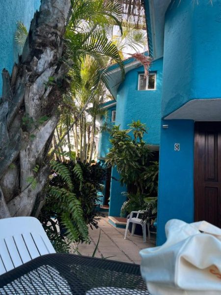 Patio exterior tropical con palmeras y vegetación del Hotel Villas Las Anclas en México
