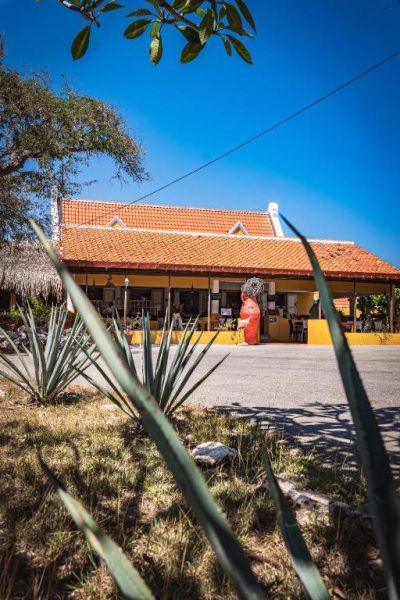 Fachada exterior del Landhuis Daniel Plantation House con tejado rojo y jardín de cactus típico caribeño
