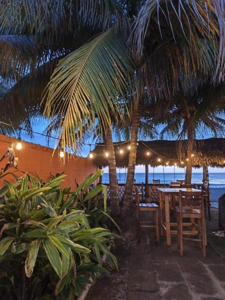 Terraza exterior con mesas de madera, palmeras y vista al mar al atardecer en El Belga Loco