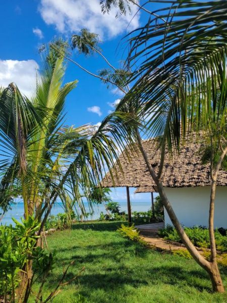 Bungalow con techo de paja rodeado de palmeras y vistas al mar turquesa en Kidoti Bay